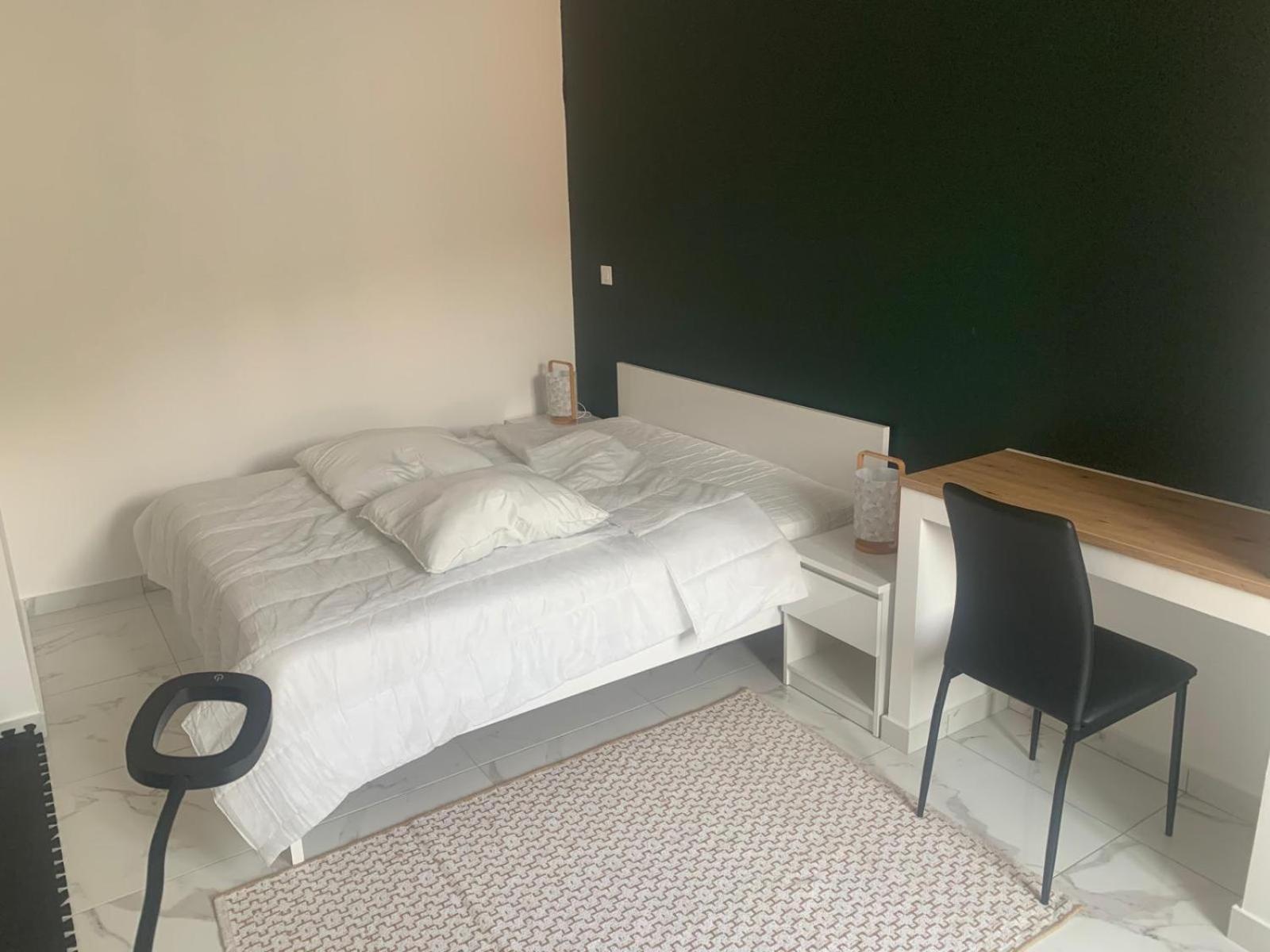 Apartmán Chez Emilie Et John Saint-Etienne  Exteriér fotografie